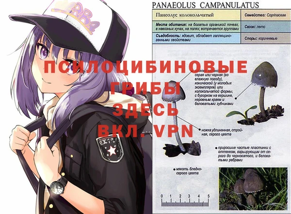 Альфа ПВП Нефтегорск